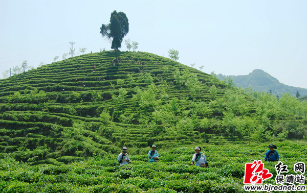 ϱƽǰ2016ʮũҵƷơ