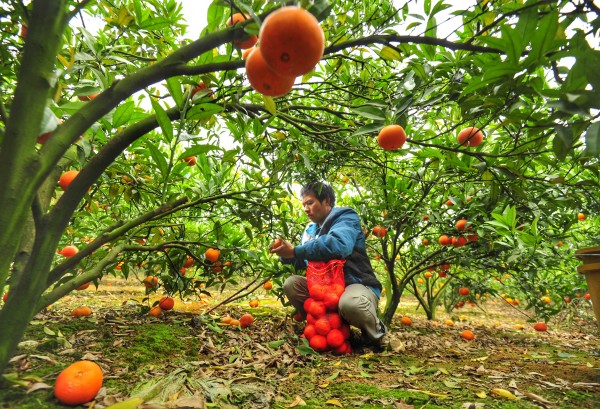 16գ߽Ľغ·ɽ壬ڲժõ̡