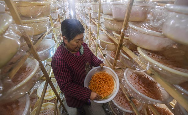 19գԴֲרҵ繤Աڲ鿴ݳơ