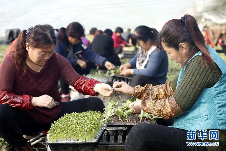 111գؿϹֲԱڼ޽ӹ硣