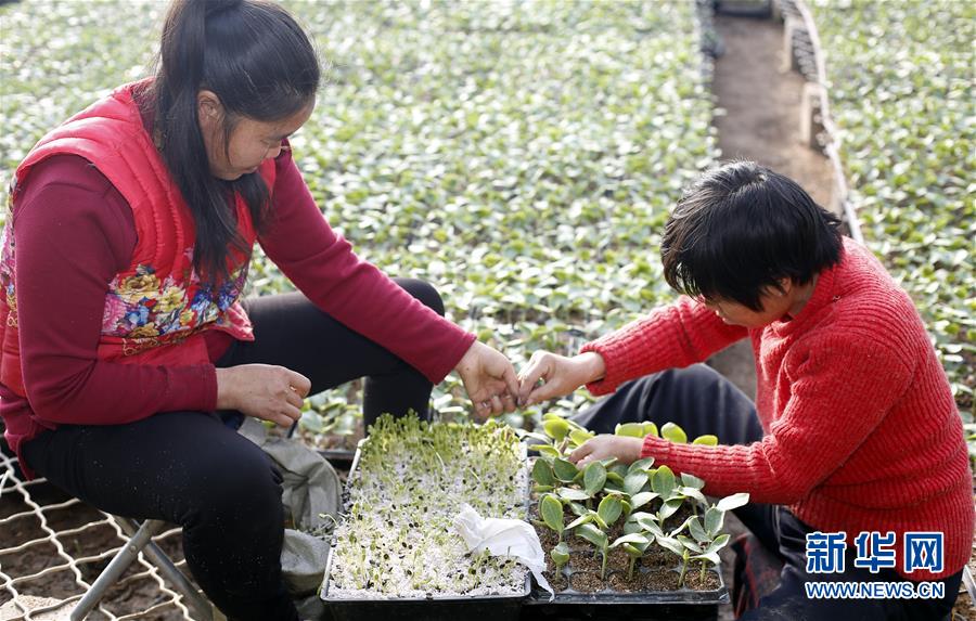 111գؿϹֲԱڼ޽ӹ硣