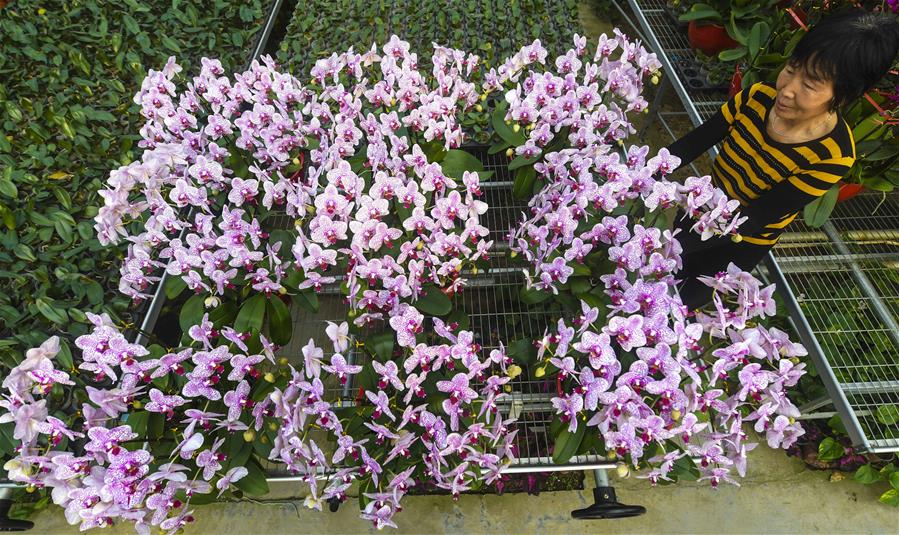 111գӱƽͥũĹΪ衣