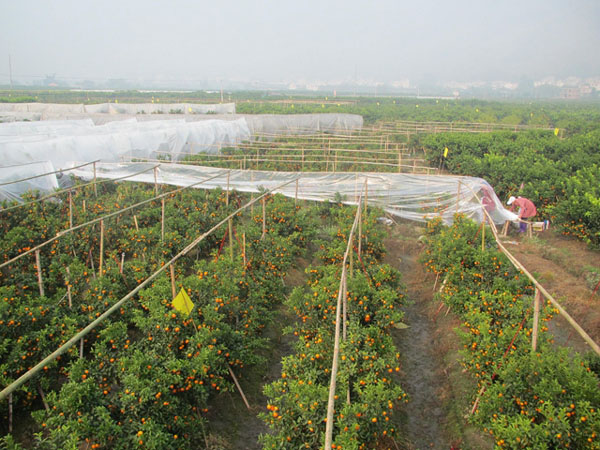 ɰǽҪ12-2У12ʱҪȸĤŶ