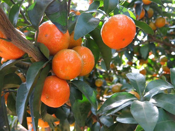 2016127ȫˮɰǽתɺɫ