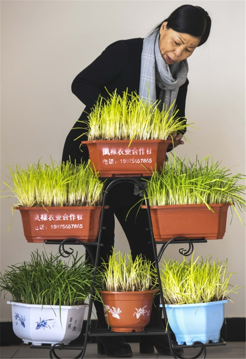 115գ˿ر԰ӴѡԻѿ²ˡ