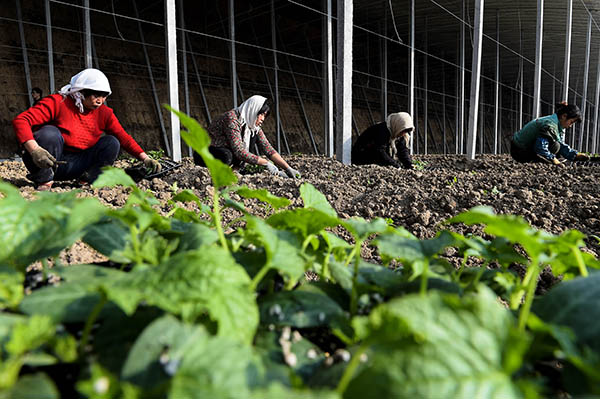 ɽٹ⣺ƶ߲˲ҵ԰Ⱥƶ