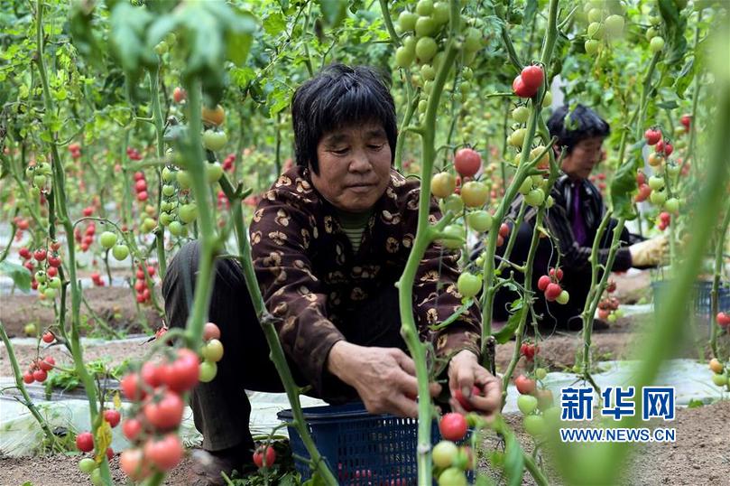 113գٹԭֲ߲أũڲժ