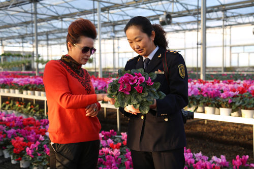 ½ŵʦʮʩũҵ԰ǧ軨ܽǰ