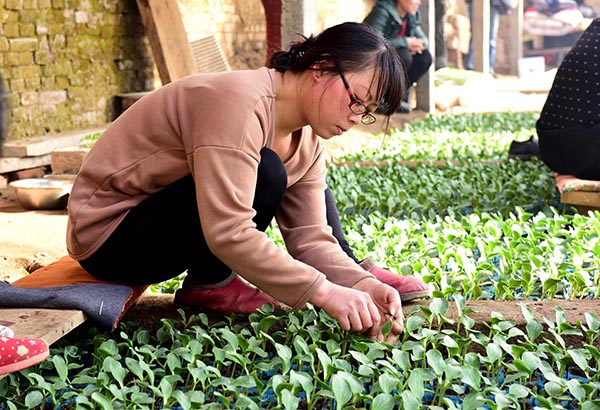 120գӱʡСϺĹũڼ޽硣