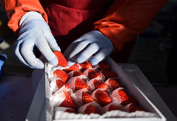 124գԱڶһݮװ佫ݮװС