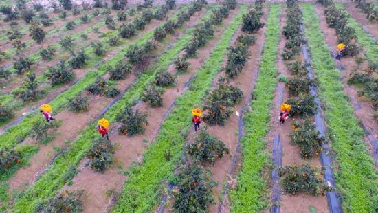 ĴʡˮհӼͥũϲգץʱժ