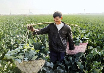 116գٺ·壬ũǼղժġ̨1šϲЦտ