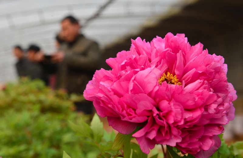 125գ˿ںӱʡغĵ԰ܴѡĵ