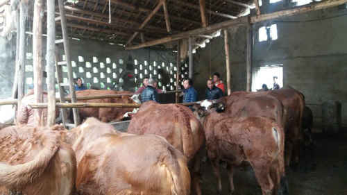 ĴʡĴʩʵõֺҵָչ