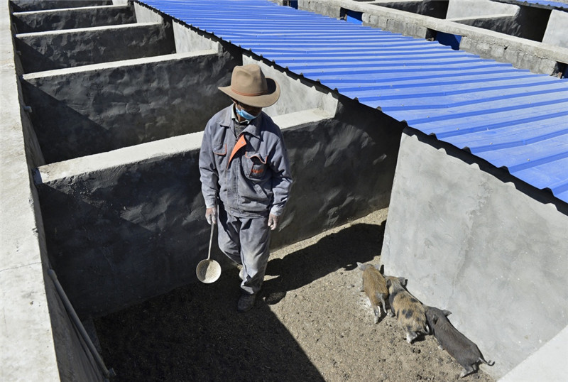 26գƶڲҰֳڸСιϡ