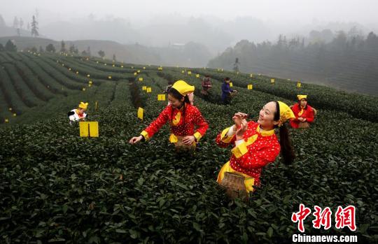 ҶɼڣΪɡһѿũᶯԱѰæ