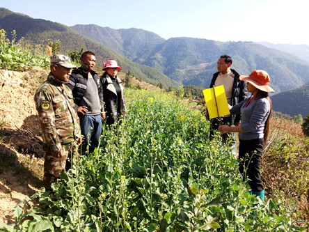 ϲԴأũԱ뵥ָͲɫؼ