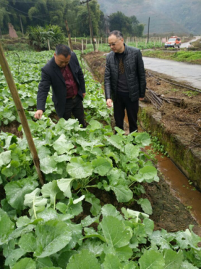 뽭ũίũҵרΪֵͲ˹֧ʵ