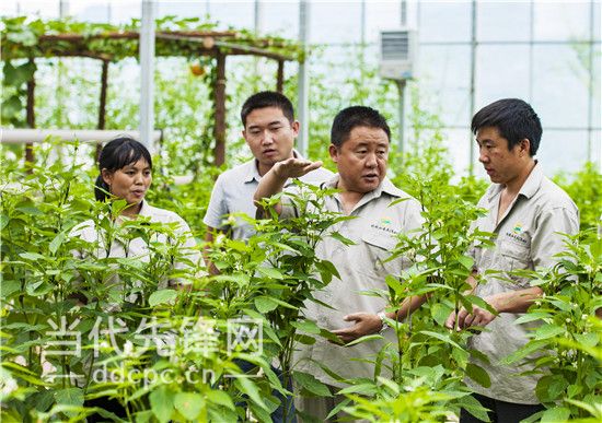 ݣũ塰䡱ĸ ͨũҵг·