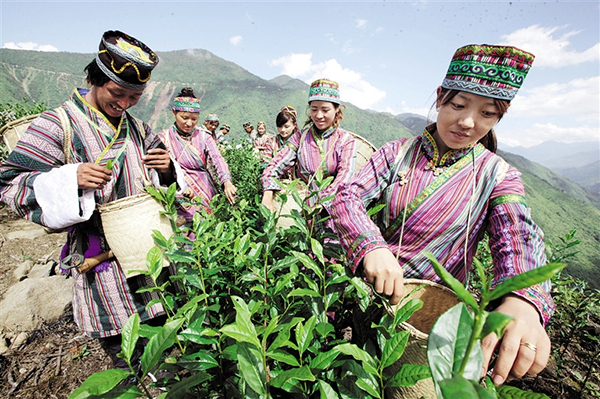 īѲҵ׳ɳ ֲѴ5108Ķ