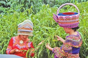 ÔÆÄÏ£º¿Æ¼¼ÖúÍÆÊ¦×ÚÞ²ÈʲúÒµáÈÆð