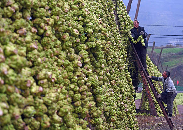 28գиһʳƷ˾Ĺ˽ͷɹȻɡ