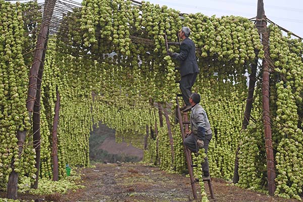 28գиһʳƷ˾Ĺ˽ͷɹȻɡ