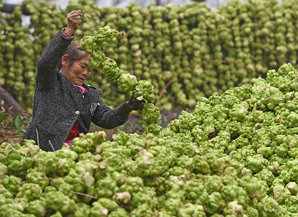 28գиһʳƷ˾ĹԱͷ