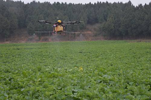 四川盐亭县:植保无人机在大田病虫害防治中积极推广