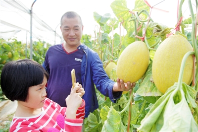 㶫տι۹ũҵƳ ˻ع԰