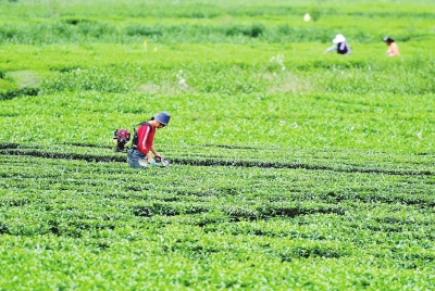 ӺʡũҵչƶũҵṹԸĸ