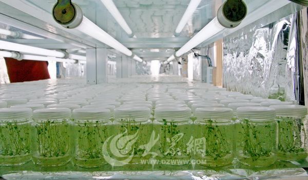 ɽʡ֧ ƷƼֵ136.21Ԫ