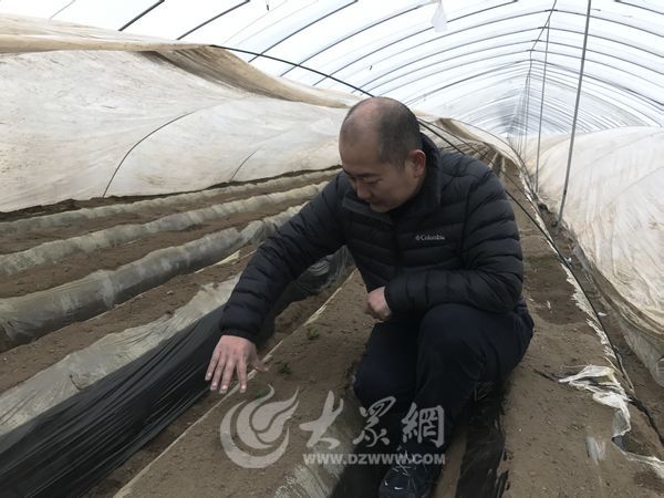 ɽʡ֧ ƷƼֵ136.21Ԫ