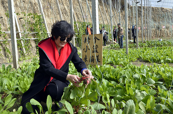 211գһο˳ֲũרҵҴջ߲ˡ