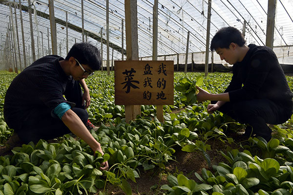 211գο˳ֲũרҵҴջ߲ˡ