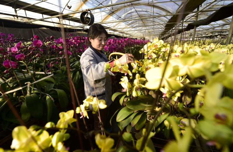 211գ繤ԱҴΪʢĺˮ