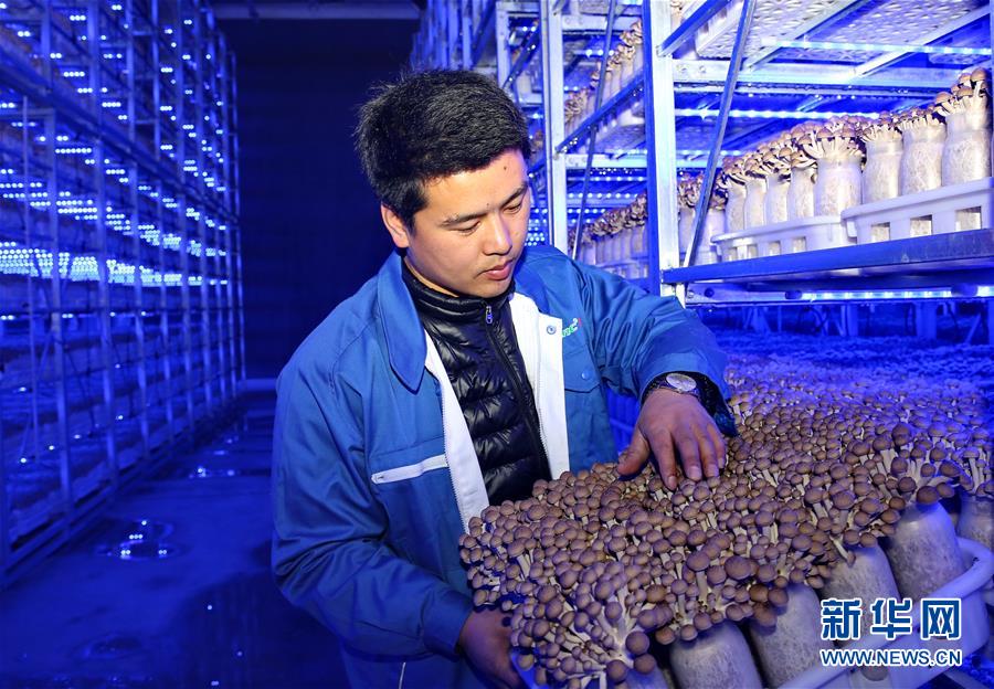 212գԱڲϡʳþĿ鿴ʳþơ