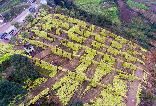 29պĵиһեҵͷˮɹ