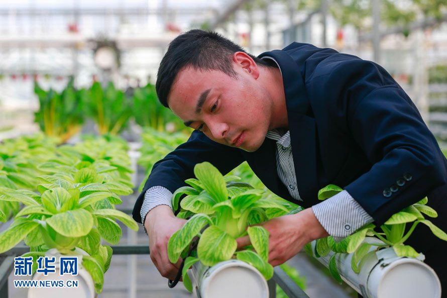 江苏盱眙县:科技创新春满园