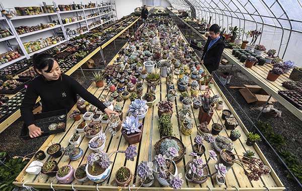 215գοںӱʡȷйũׯĻѡֲ