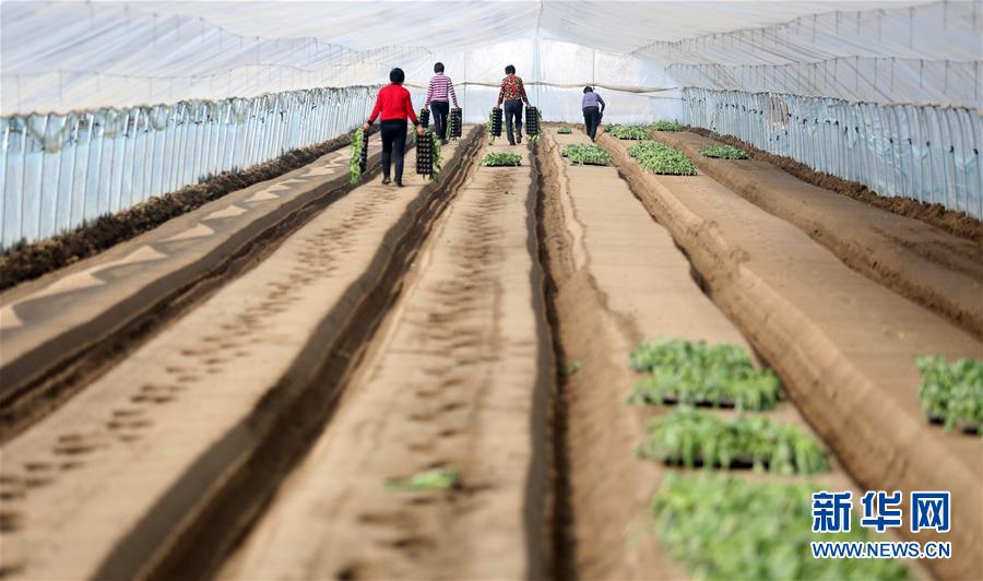 215գ۰ع縻ũƷֲڣ磬׼ʽ߲Ի߲ˡ