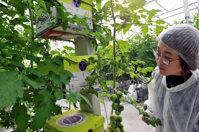 215գԱڲɫؼҲ鿴䣬۲۷Ϊڷ