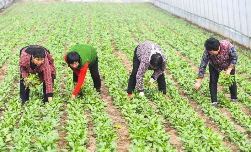 216գũںӱʡİ¡ʩ߲Ŀڶ߲˽