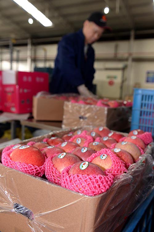 216գˮʢ¡ҵĹΪּõƻճƷƱǩ