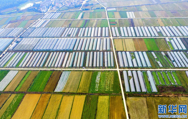 216պĵĽʡˮˮлֲ߲԰