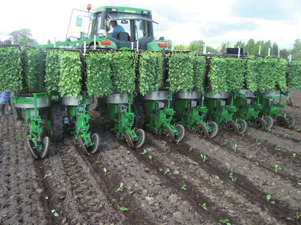 ʡũƹվǿҵ ȫʡ߲˲ҵչ