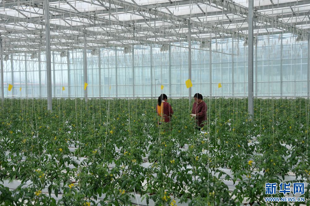 219գںʡڻũҵƼ԰ڹҬ༼ֲ