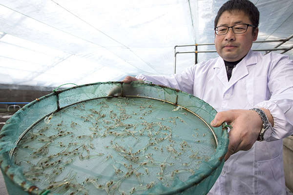 215գ½غֳصĹԱչʾֳ׶Ϻ