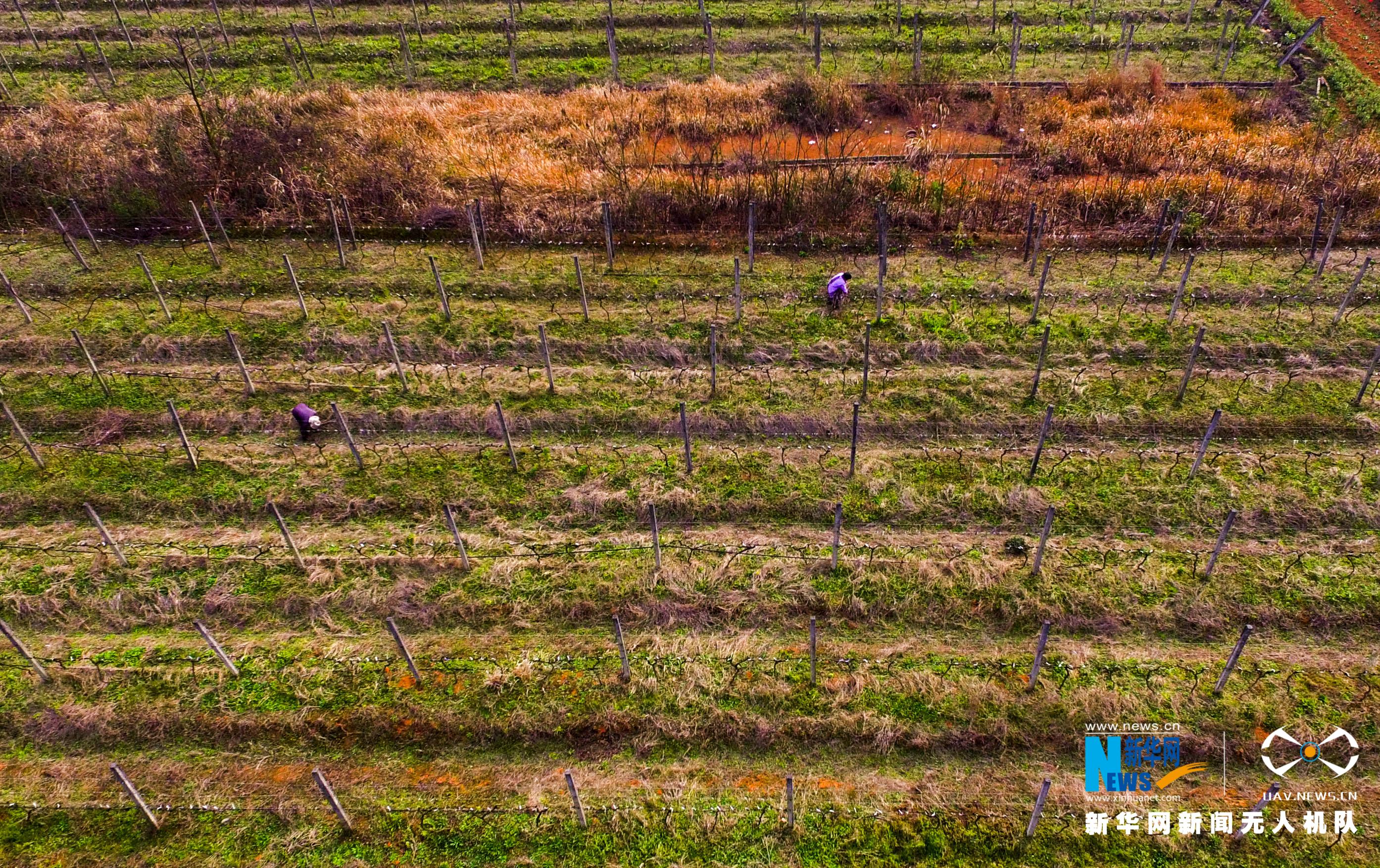 ִũҵƼ԰ֲũæµڴ