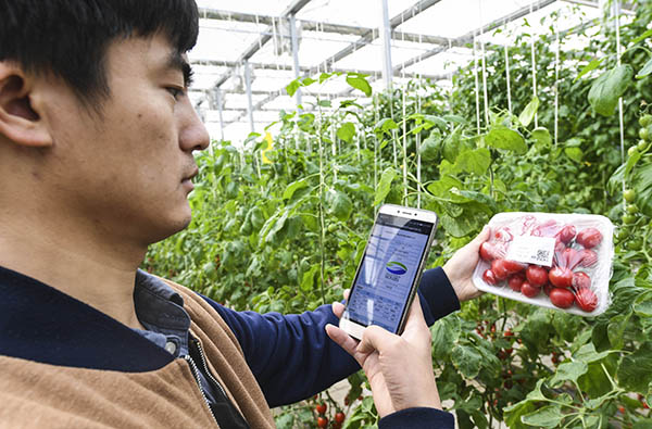 219գһλع־ũҵ˾ǻ۴ɨάѯ߲Ϣ